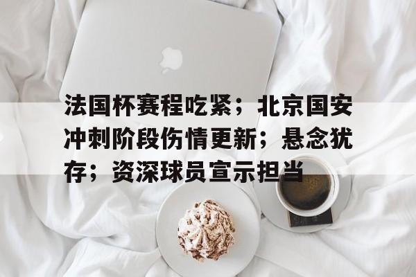 关于法国杯赛程吃紧；北京国安冲刺阶段伤情更新；悬念犹存；资深球员宣示担当的信息